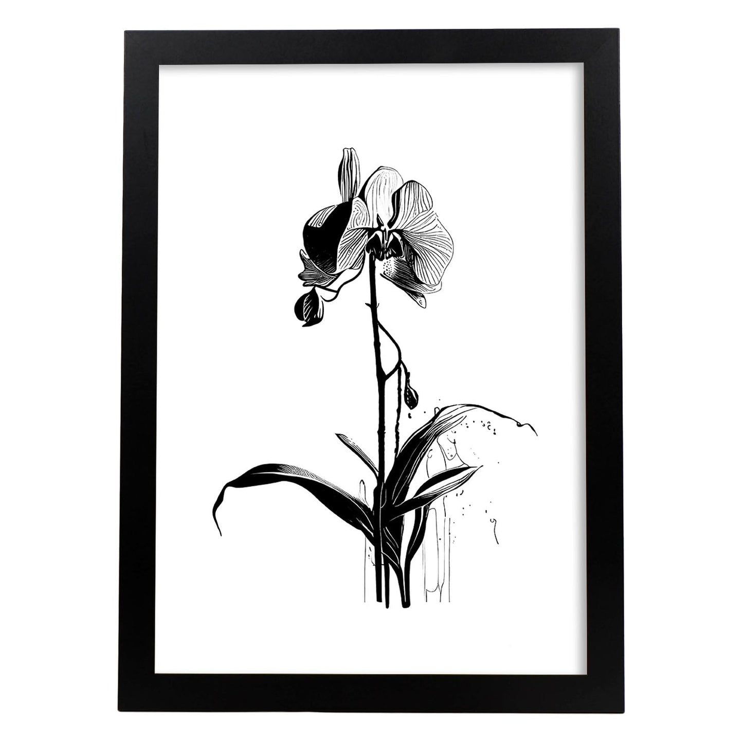 Laminas Minimalistas de Orquídeas Nacnic