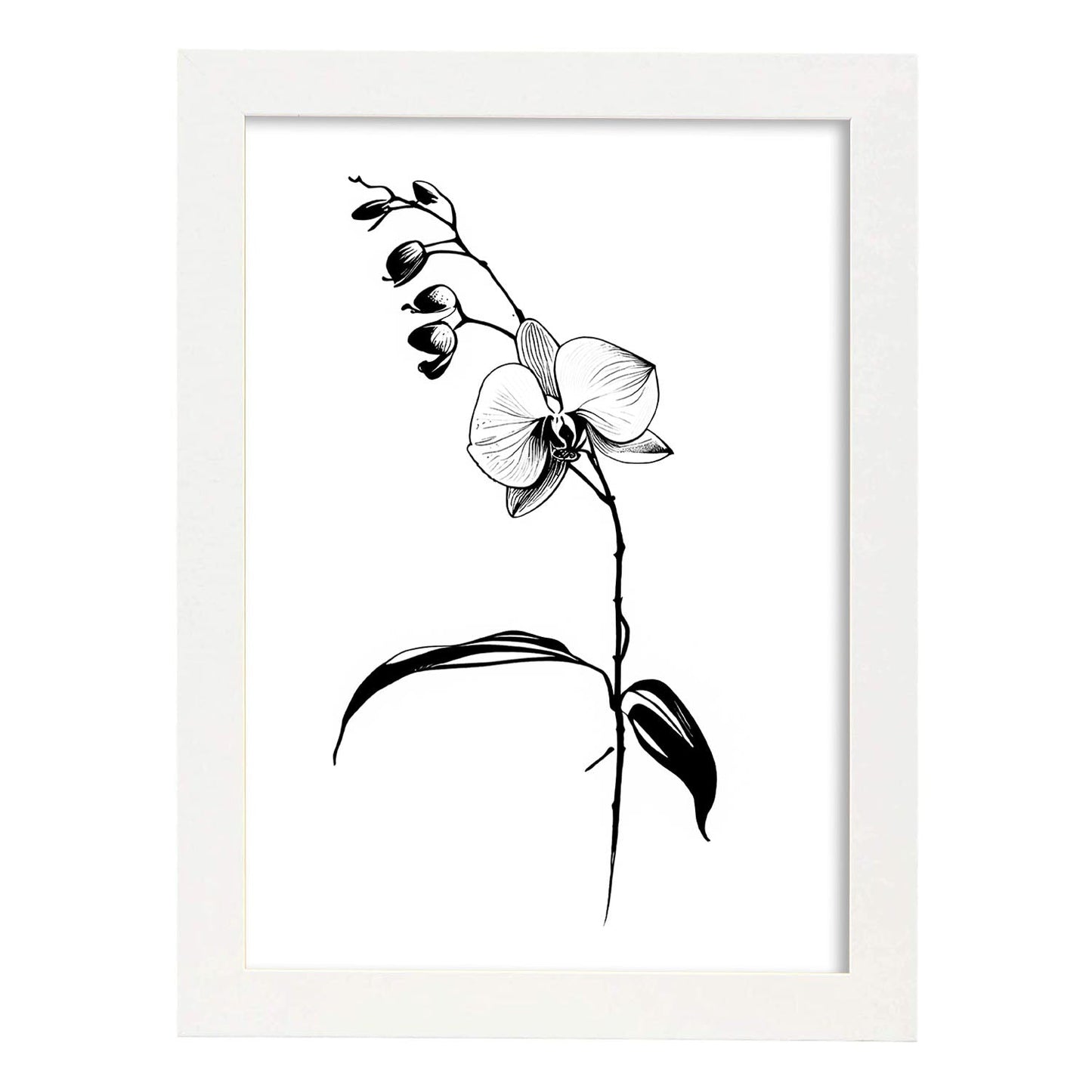 Lamina Minimalista de Orquídea Nacnic