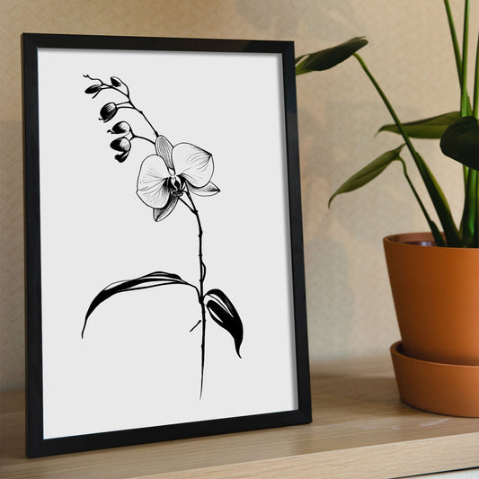 Lamina Minimalista de Orquídea Nacnic