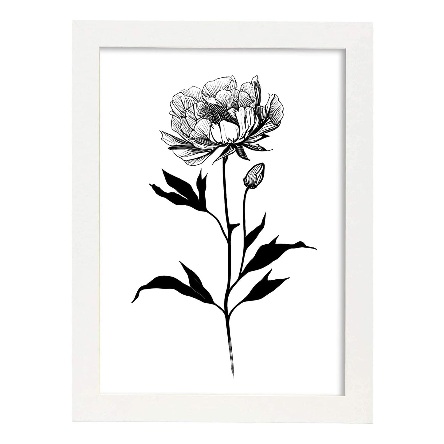 Lámina Nacnic de Peonia en Arte Minimalista