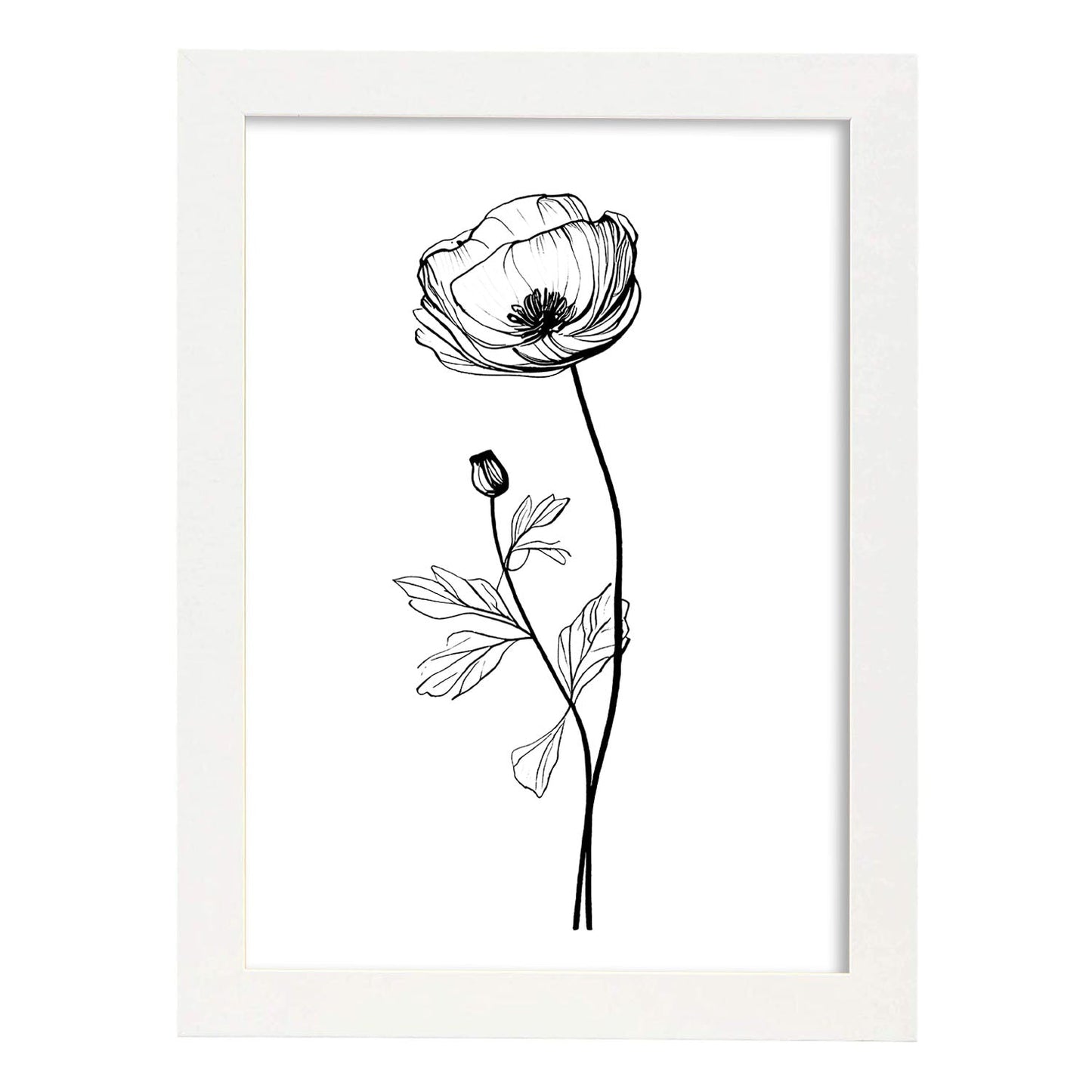 Laminas Nacnic de Arte Minimalista Lineal de Ranúnculo