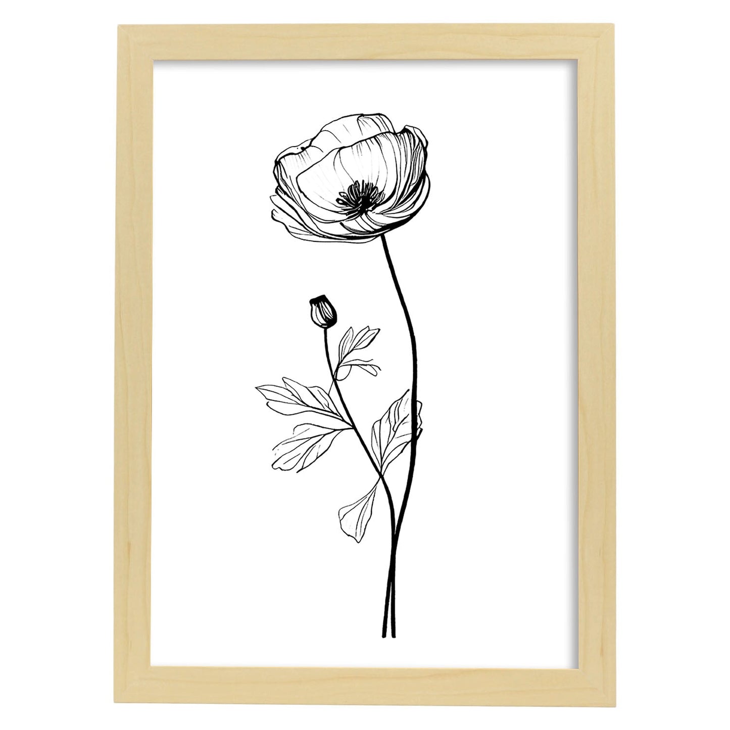 Laminas Nacnic de Arte Minimalista Lineal de Ranúnculo