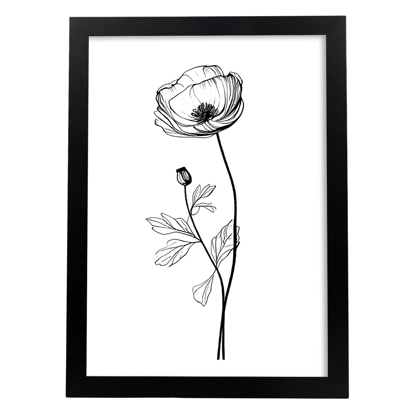 Laminas Nacnic de Arte Minimalista Lineal de Ranúnculo