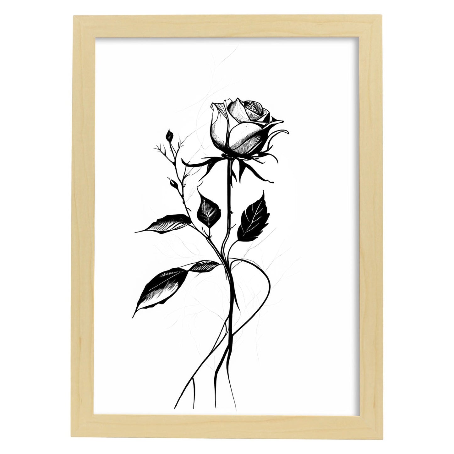 Lámina Nacnic de Rosa en Arte Minimalista