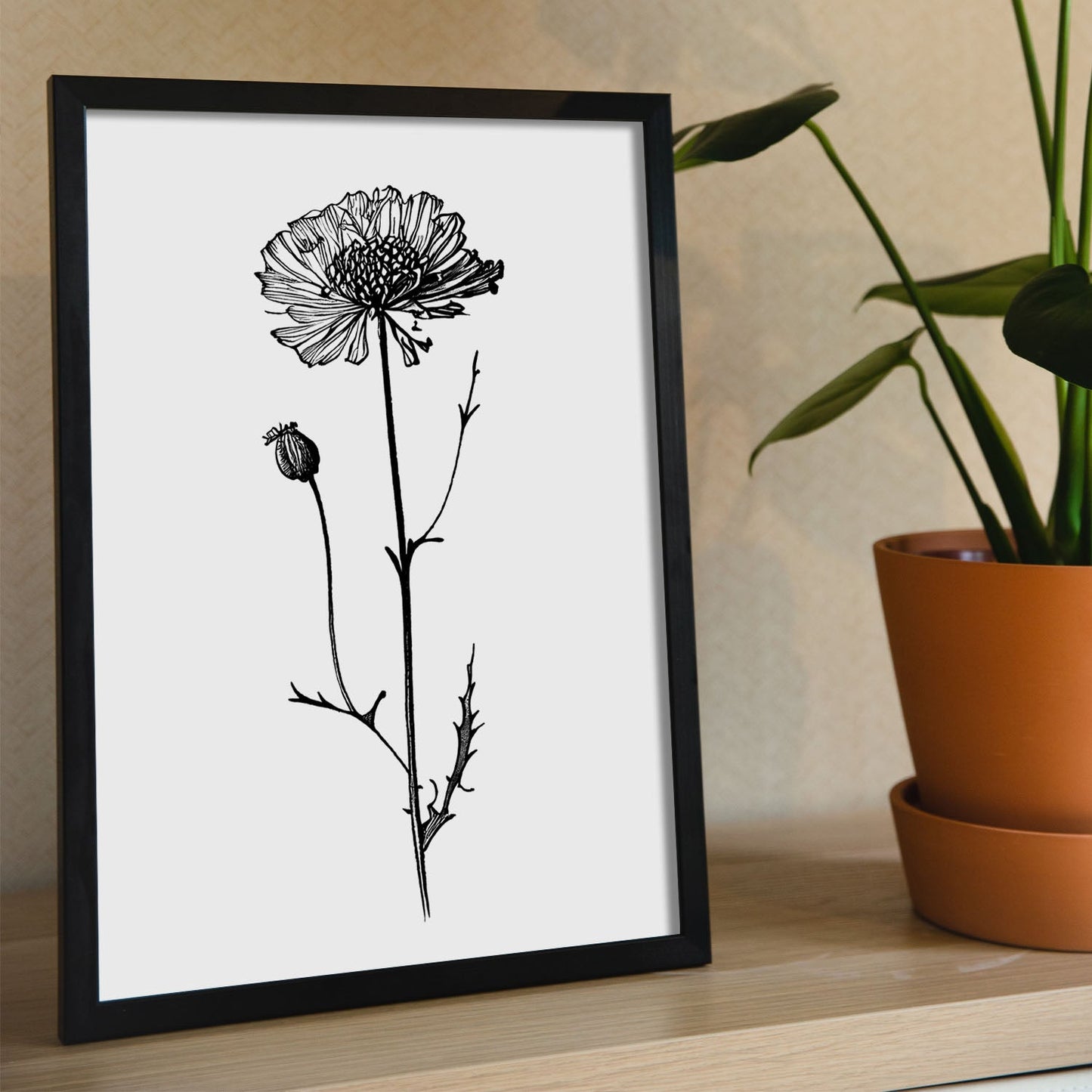 Lámina Nacnic Scabiosa Arte Minimalista Línea_1