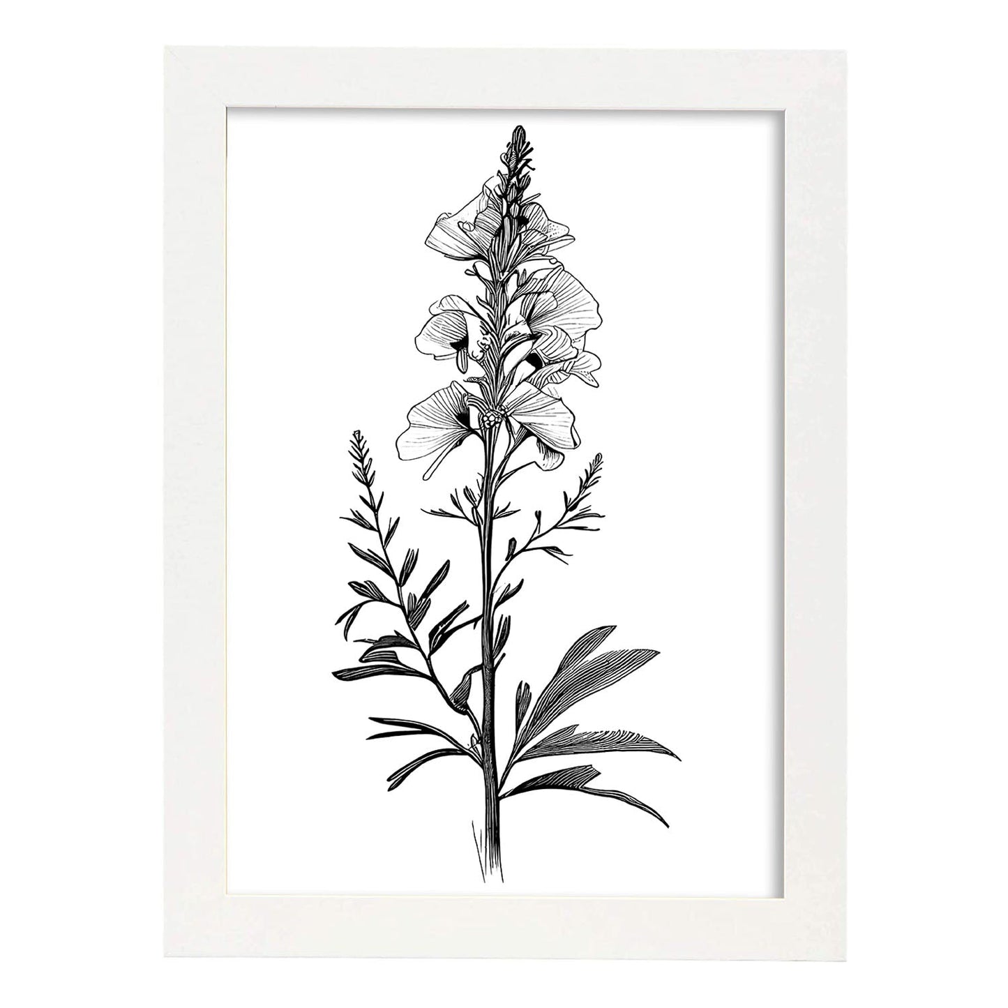 Lámina Minimalista Nacnic de Antirrhinum