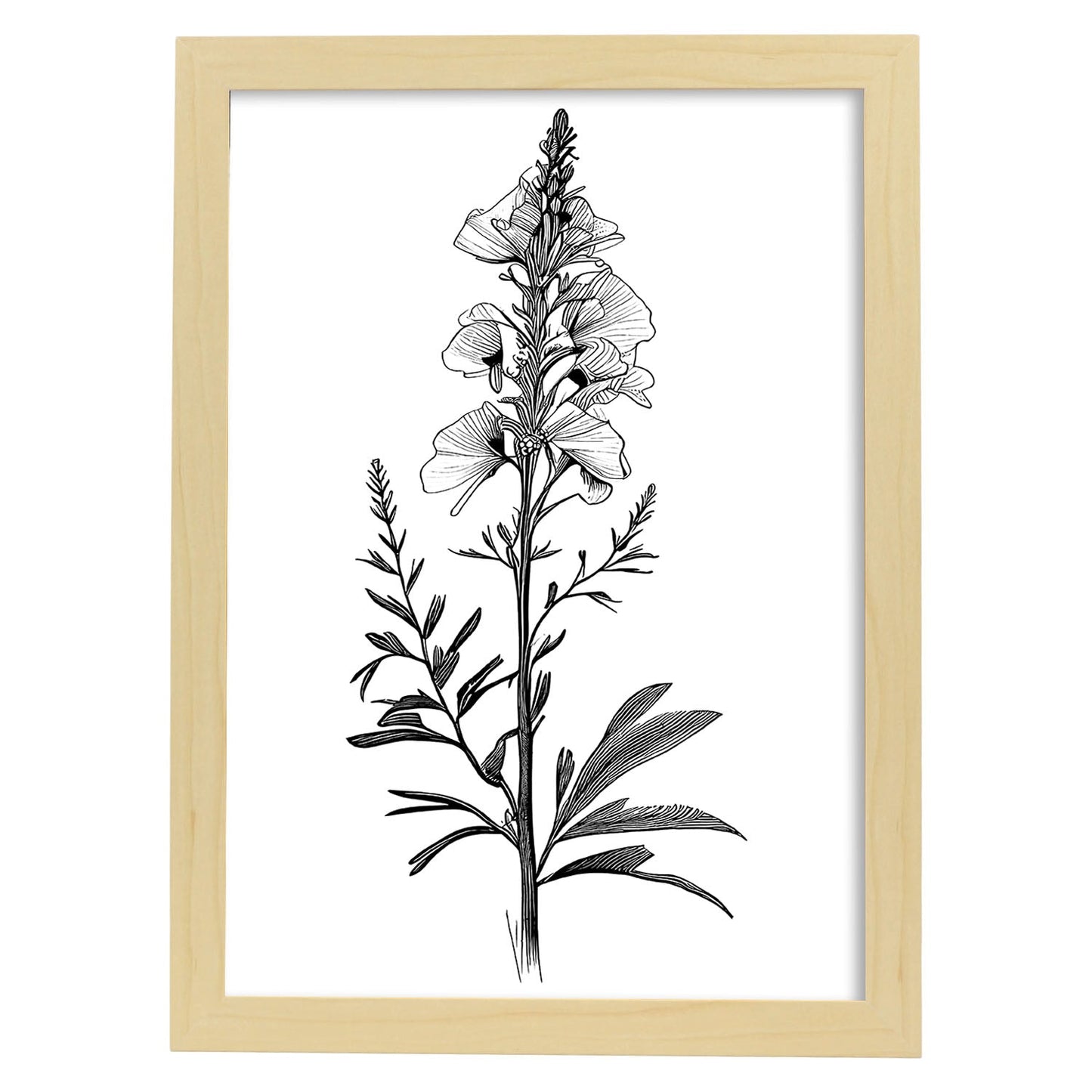 Lámina Minimalista Nacnic de Antirrhinum
