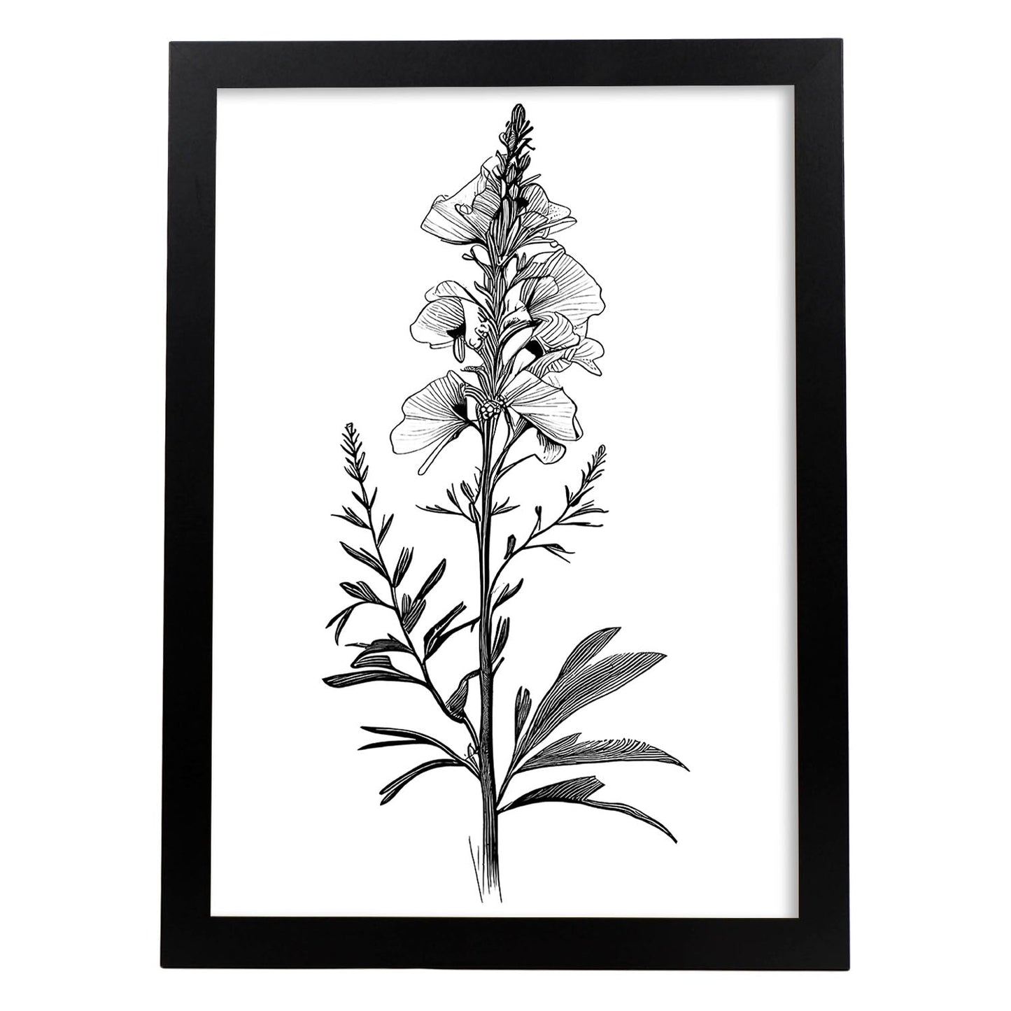 Lámina Minimalista Nacnic de Antirrhinum