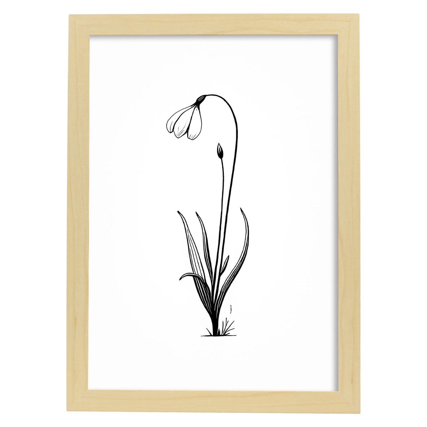 Lámina Nacnic Arte Minimalista Línea Snowdrop_2