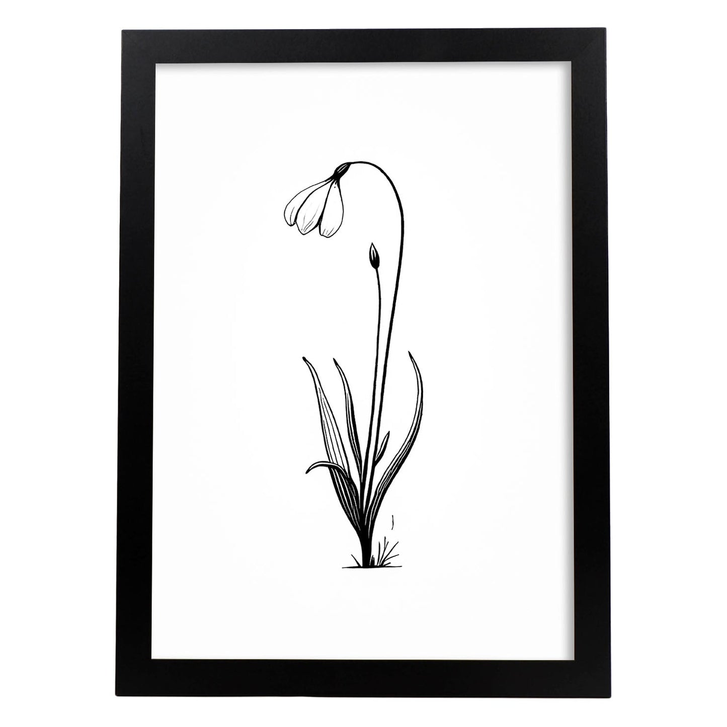 Lámina Nacnic Arte Minimalista Línea Snowdrop_2