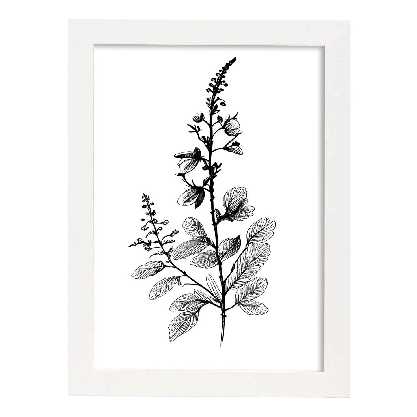Nacnic Laminas de Arte Minimalista Speedwell