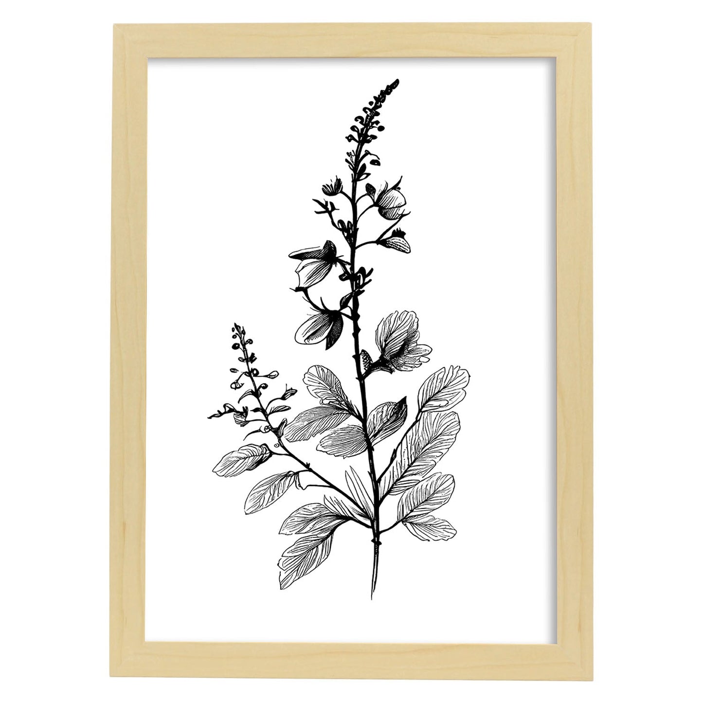 Nacnic Laminas de Arte Minimalista Speedwell