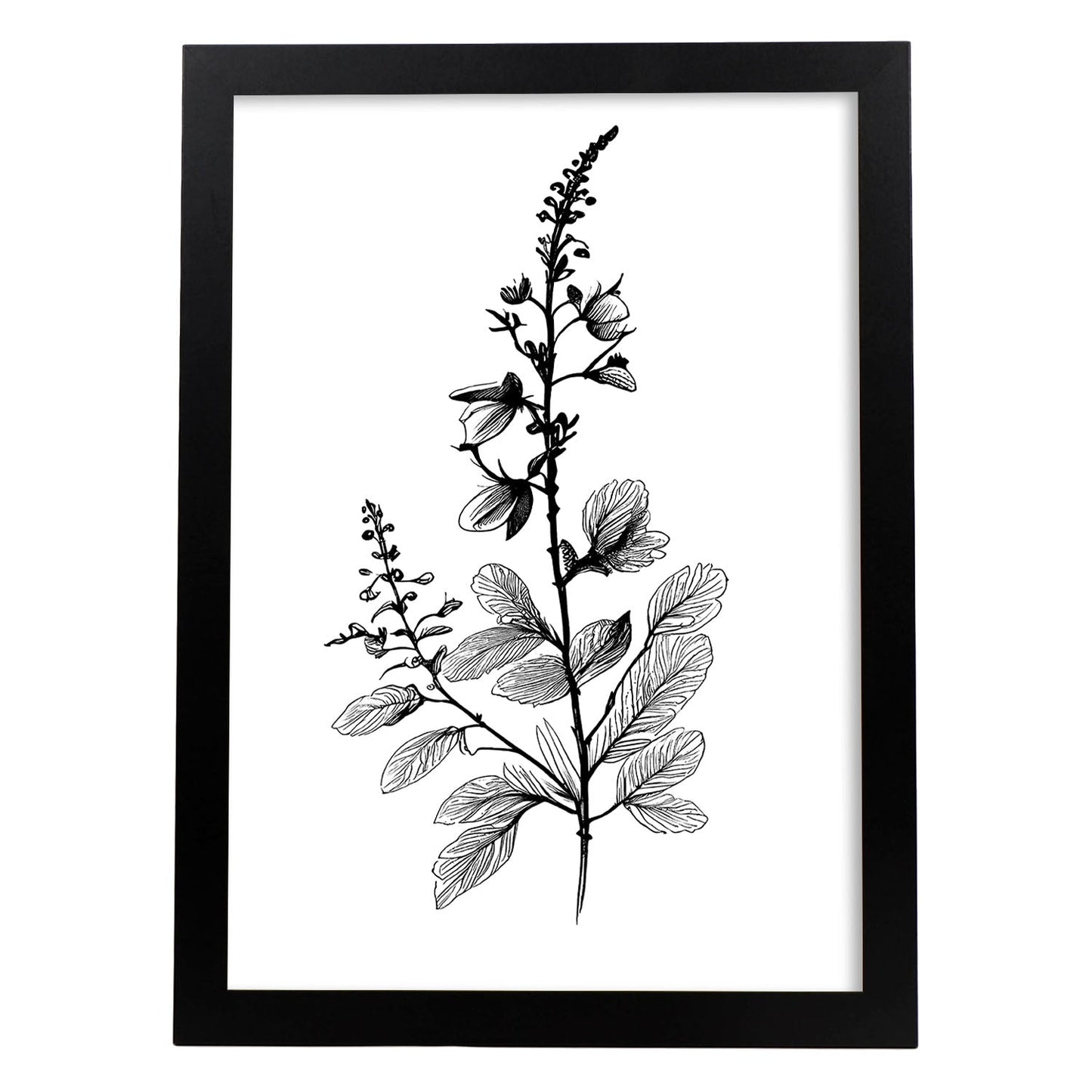 Nacnic Laminas de Arte Minimalista Speedwell