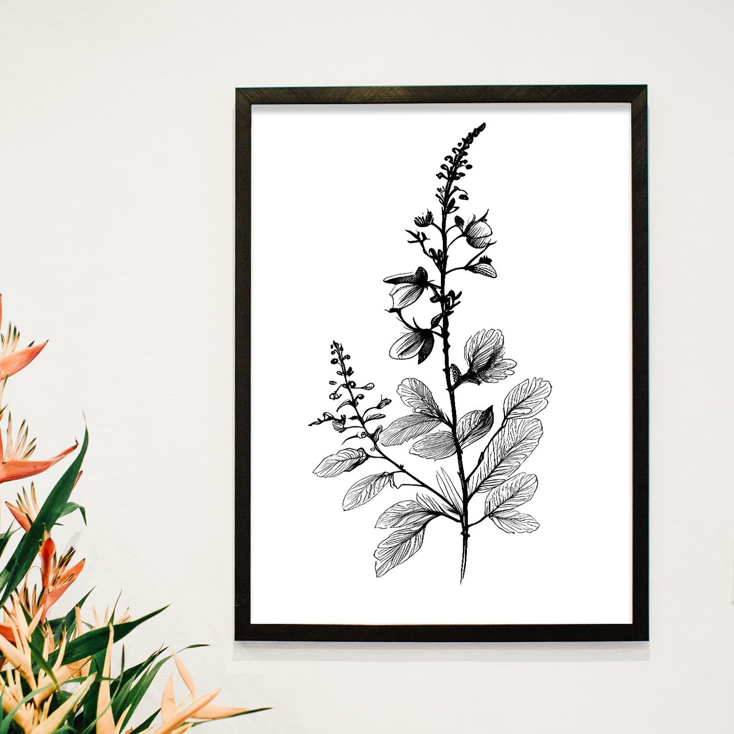 Nacnic Laminas de Arte Minimalista Speedwell