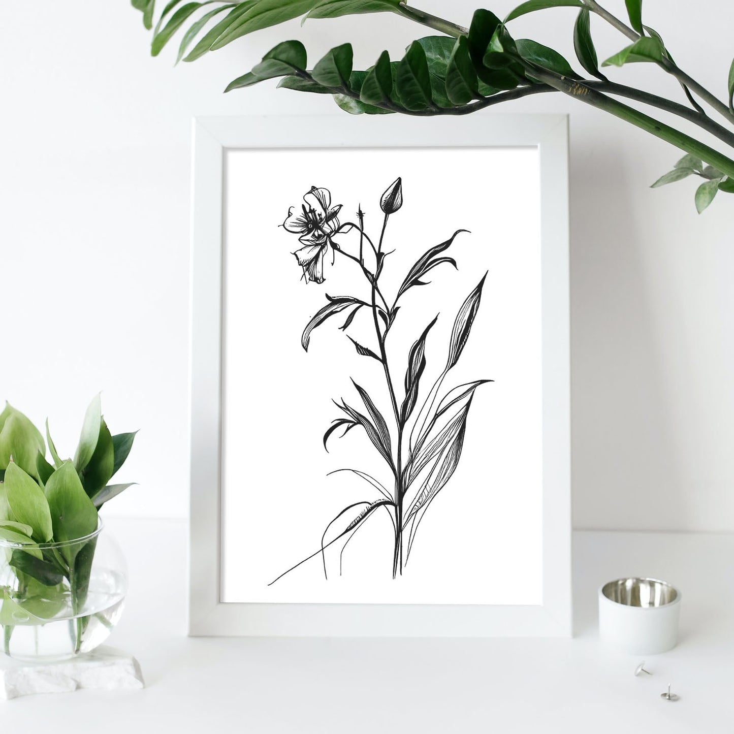 Láminas Minimalistas de Nacnic Spiderwort en Arte Lineal