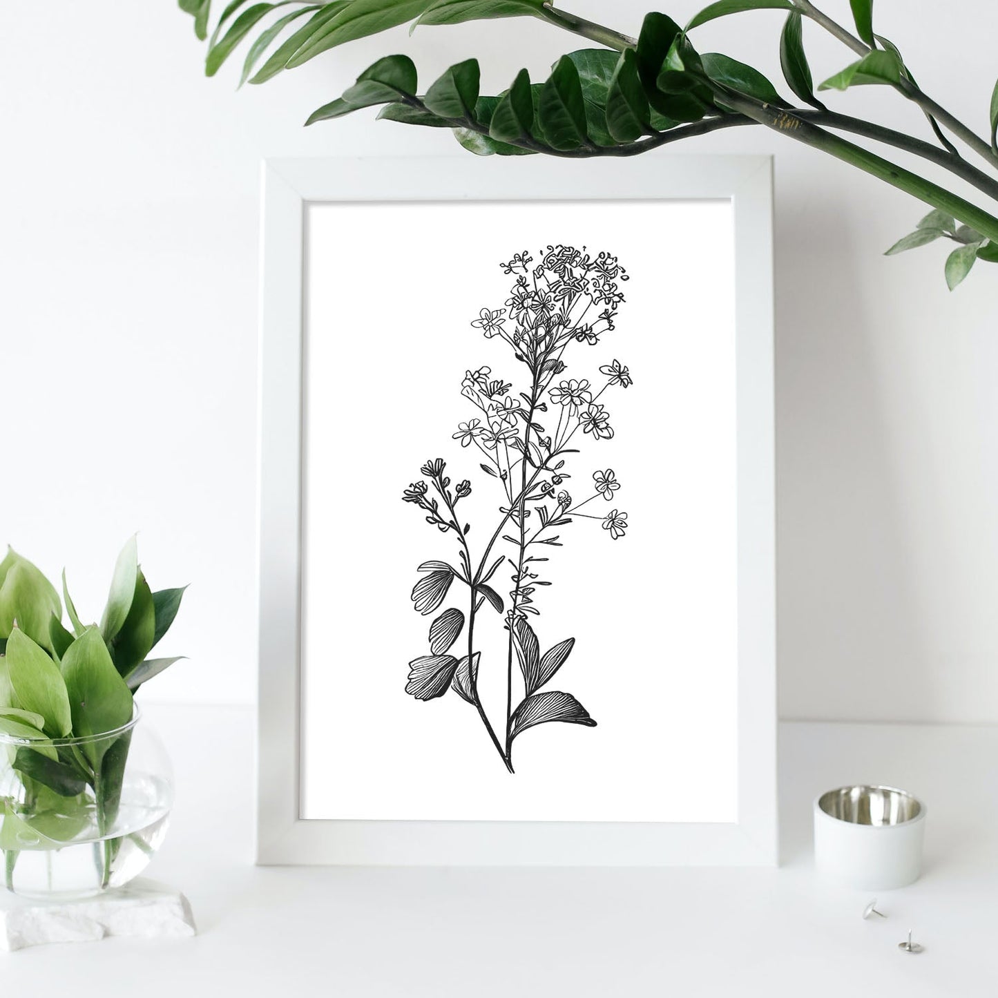 Nacnic Lámina de Arte Minimalista Sweet Alyss