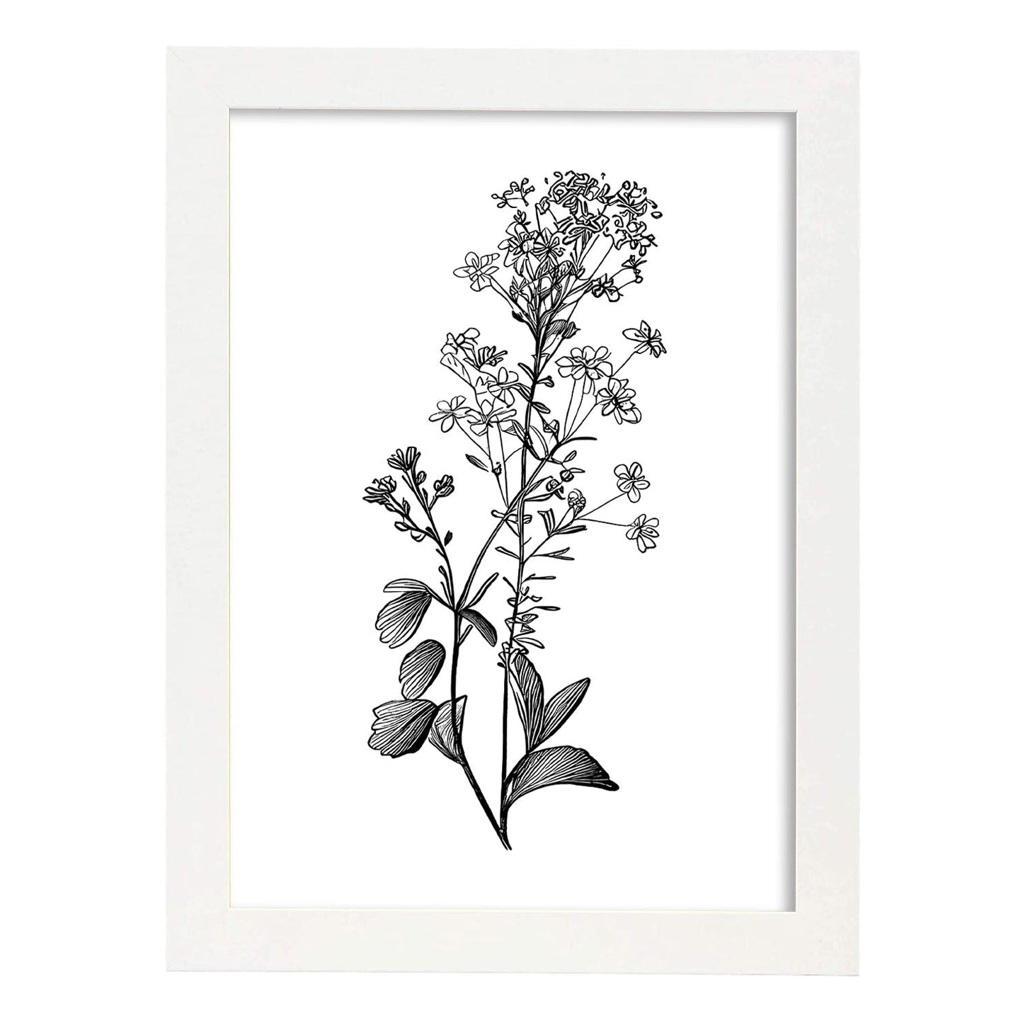 Nacnic Lámina de Arte Minimalista Sweet Alyss