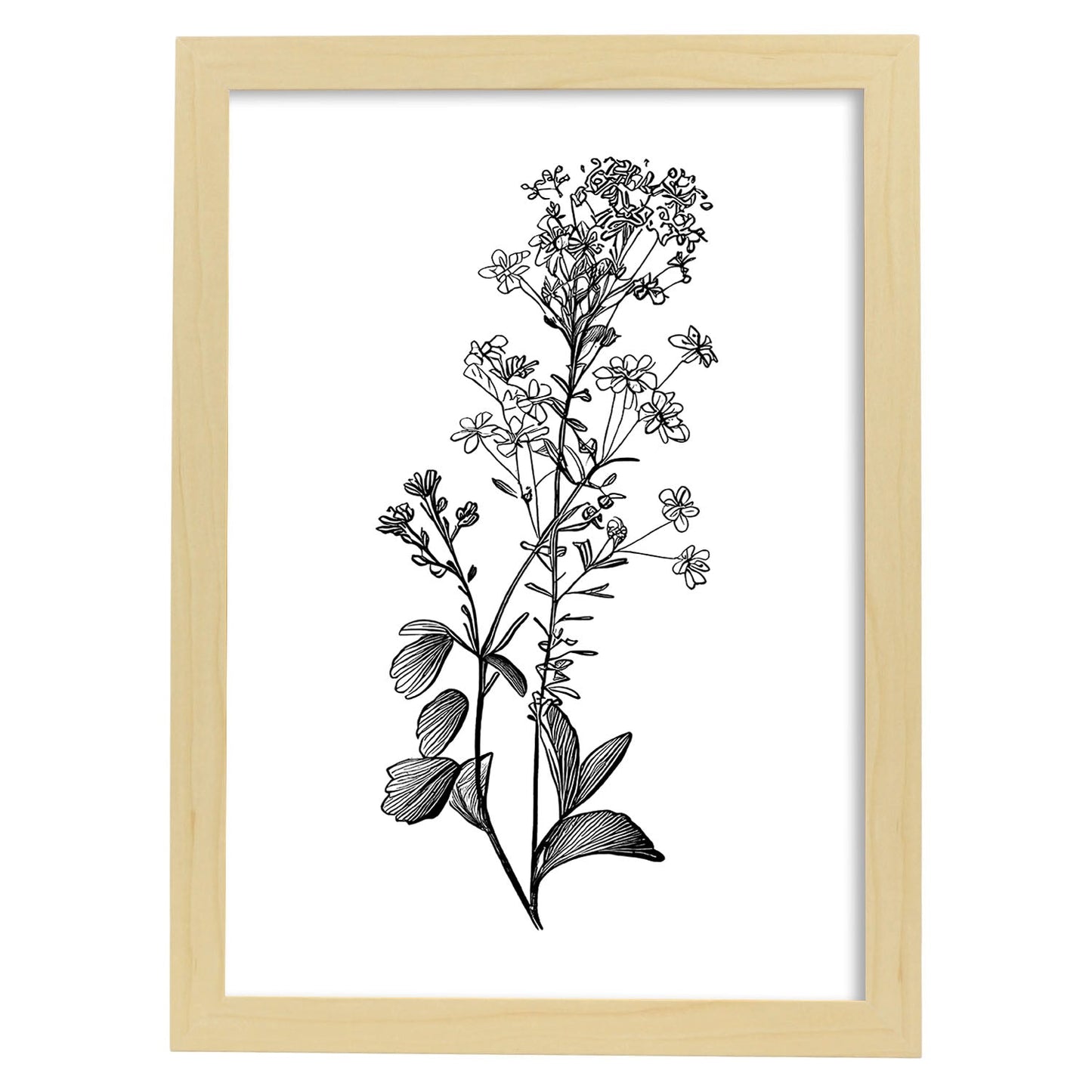 Nacnic Lámina de Arte Minimalista Sweet Alyss
