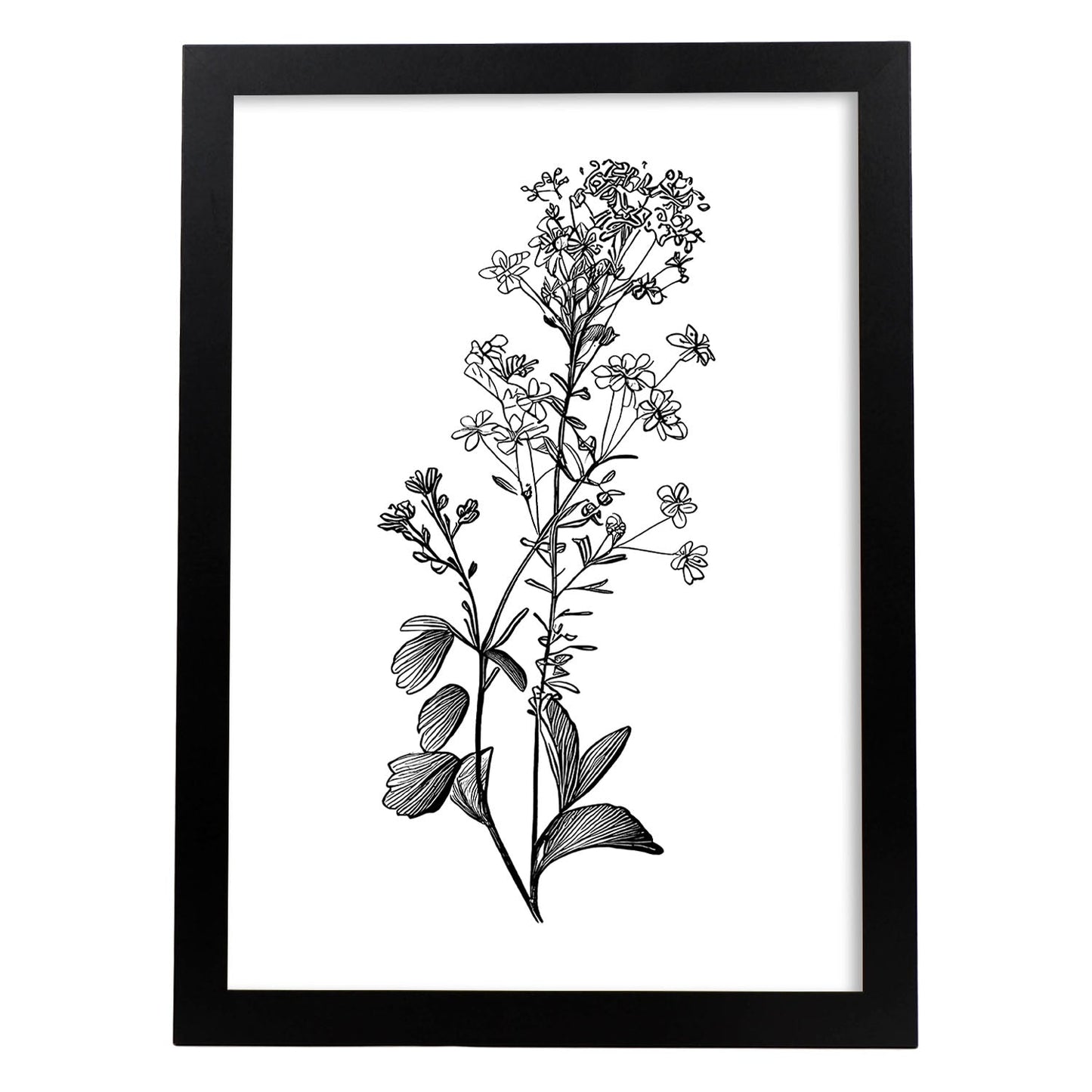 Nacnic Lámina de Arte Minimalista Sweet Alyss