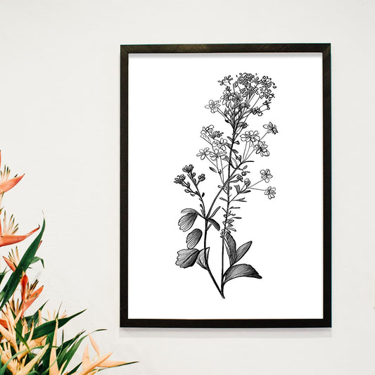 Nacnic Lámina de Arte Minimalista Sweet Alyss