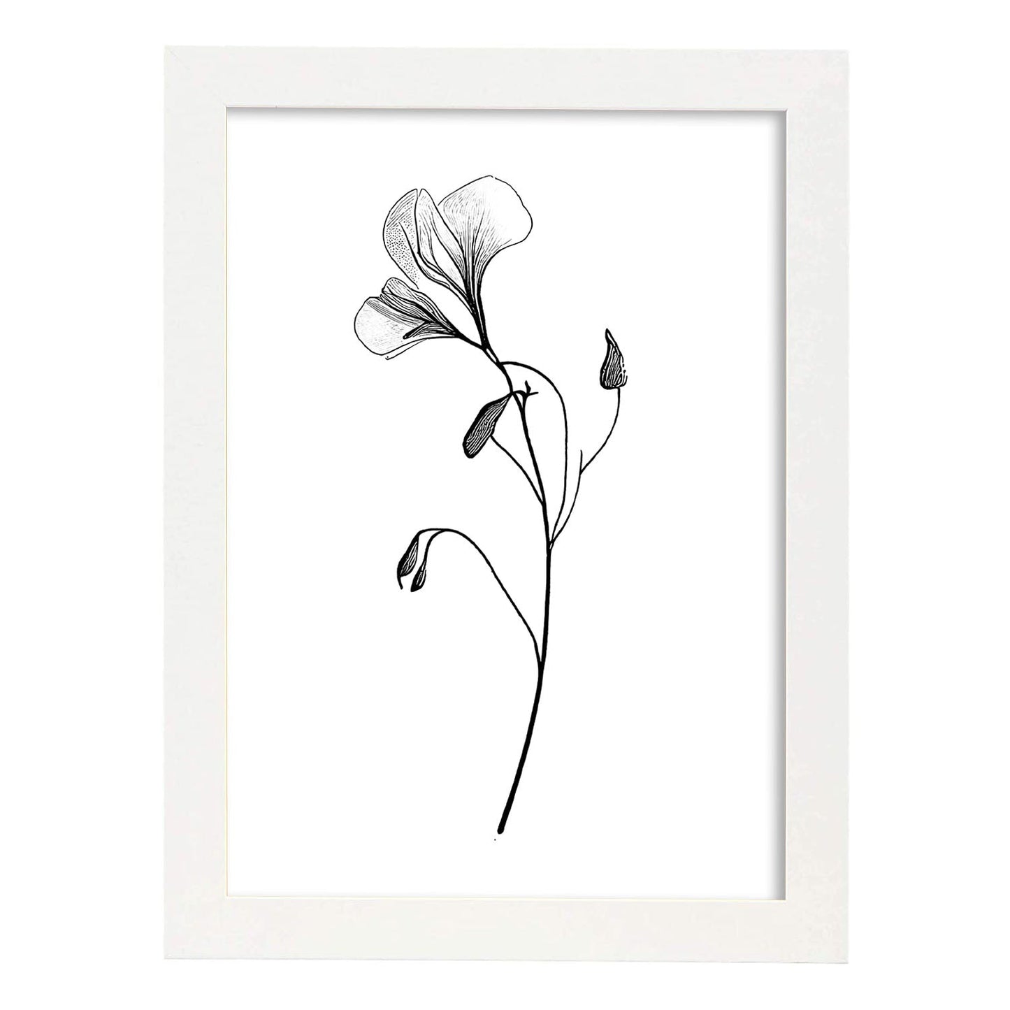 Laminas Nacnic Sweet Pea Arte Minimalista Lineal