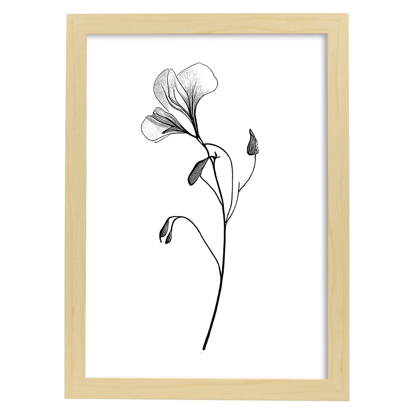 Laminas Nacnic Sweet Pea Arte Minimalista Lineal