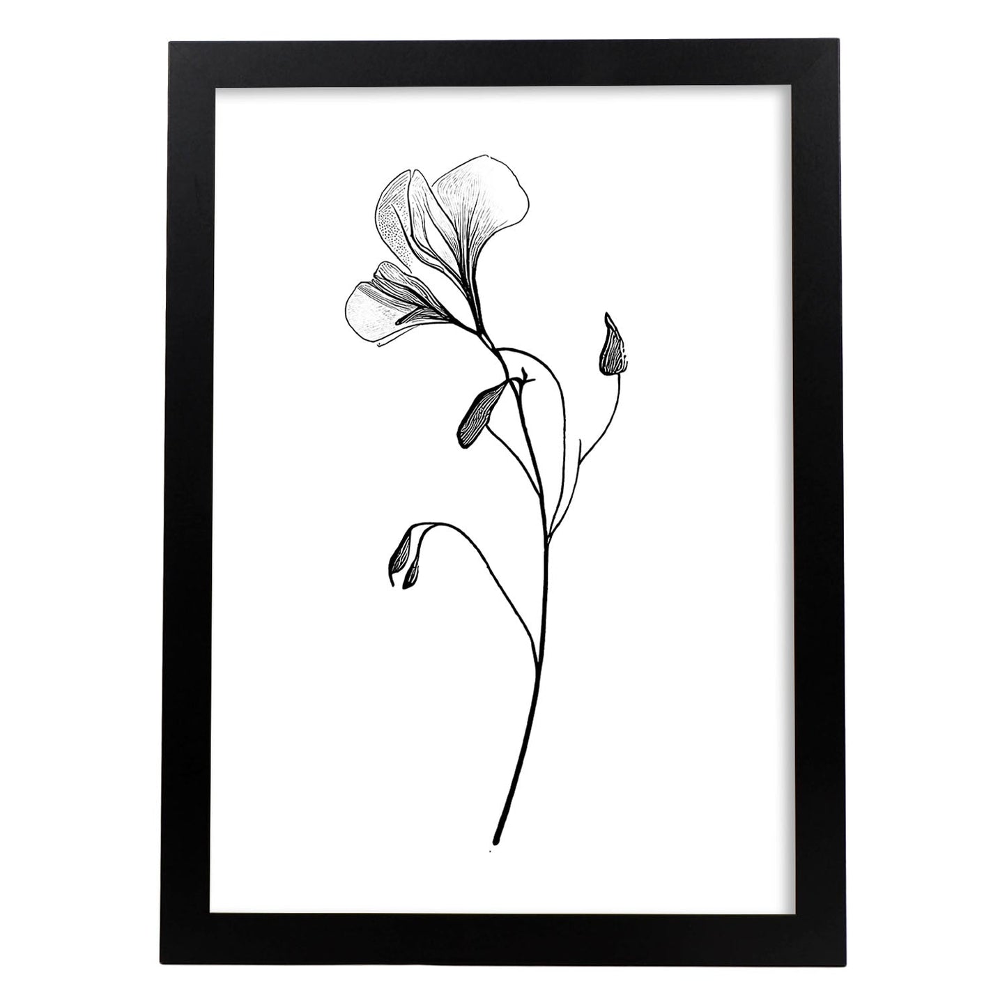 Laminas Nacnic Sweet Pea Arte Minimalista Lineal