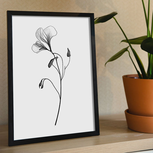 Laminas Nacnic Sweet Pea Arte Minimalista Lineal