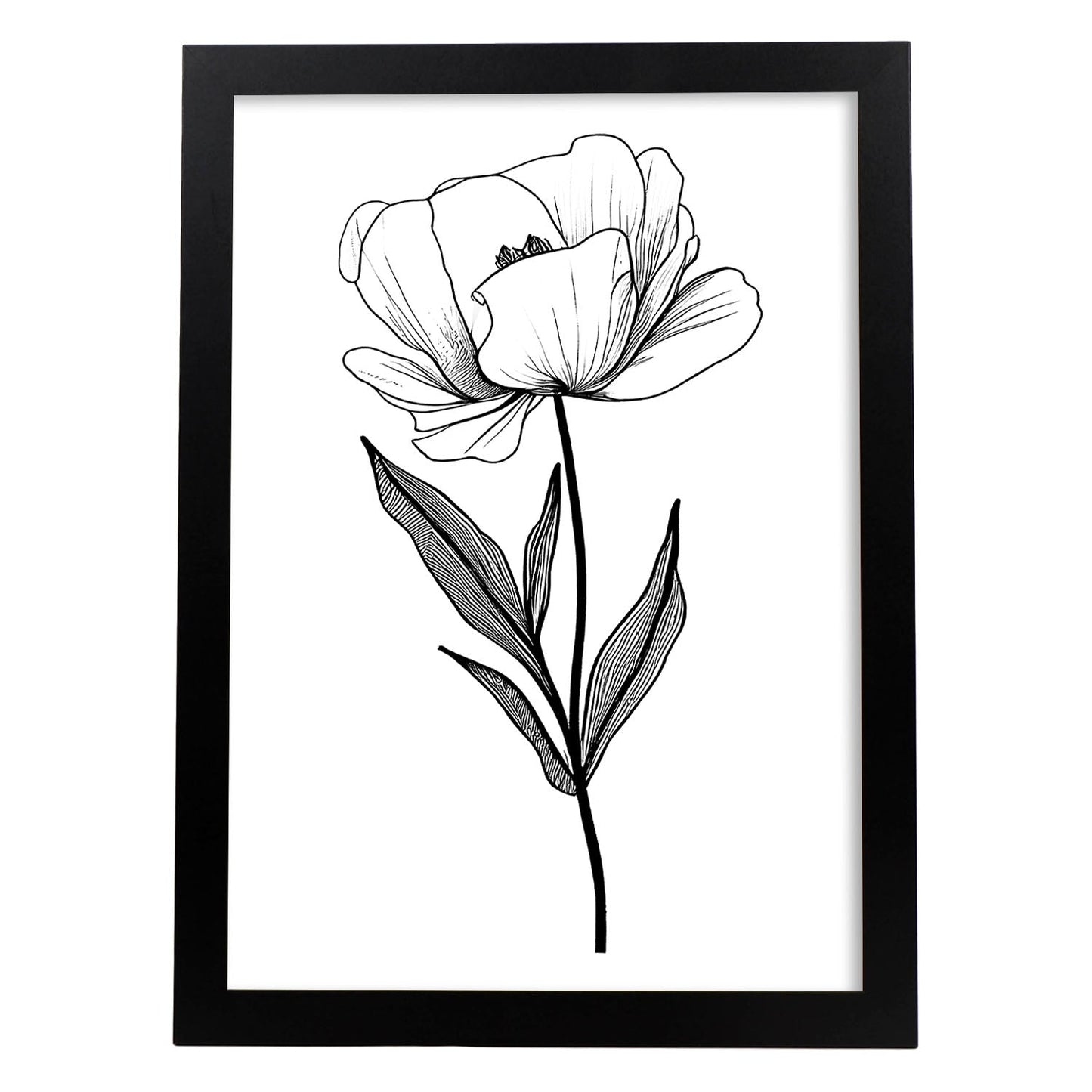 Lámina Minimalista de Tulipas Nacnic