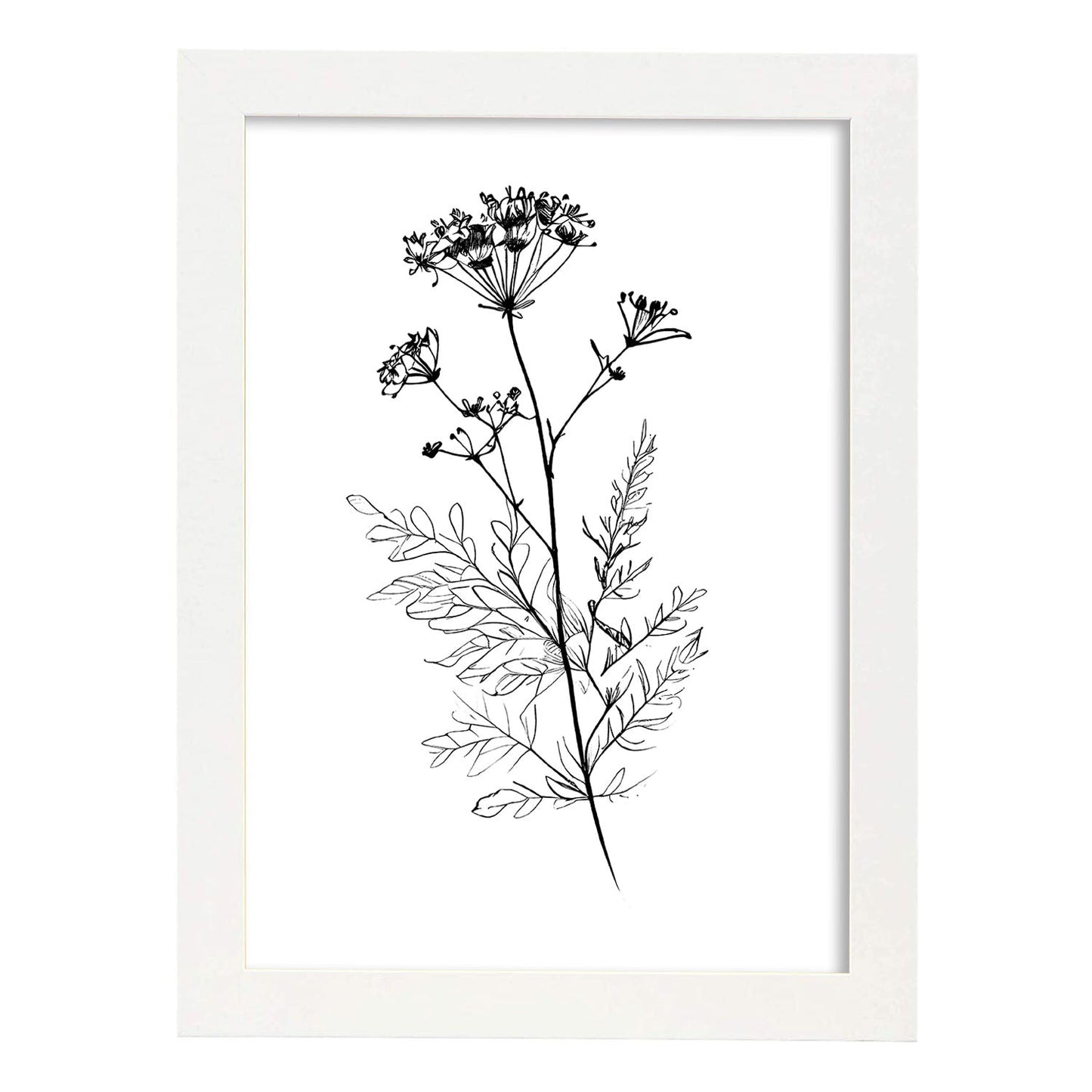 Nacnic Verbena Arte Minimalista Línea_1 Láminas