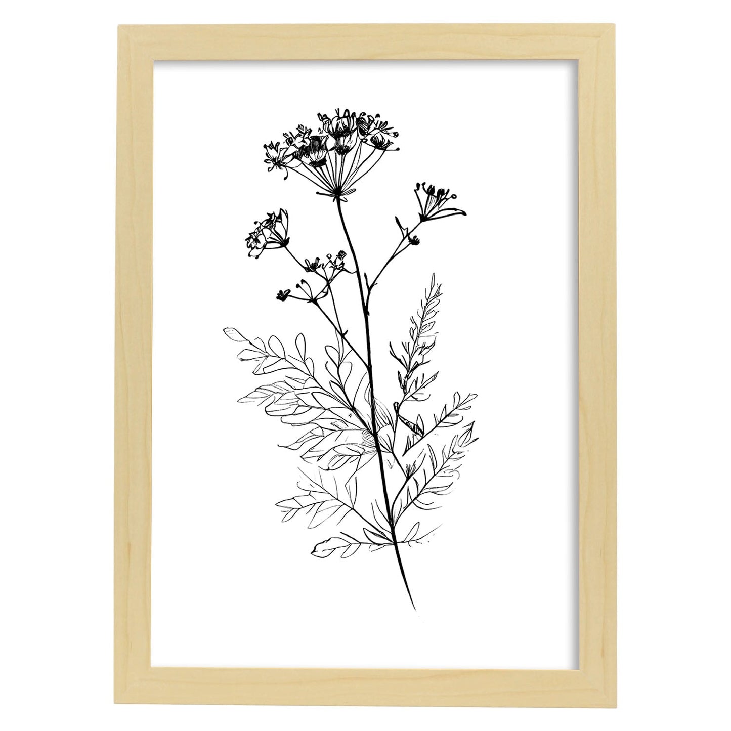 Nacnic Verbena Arte Minimalista Línea_1 Láminas