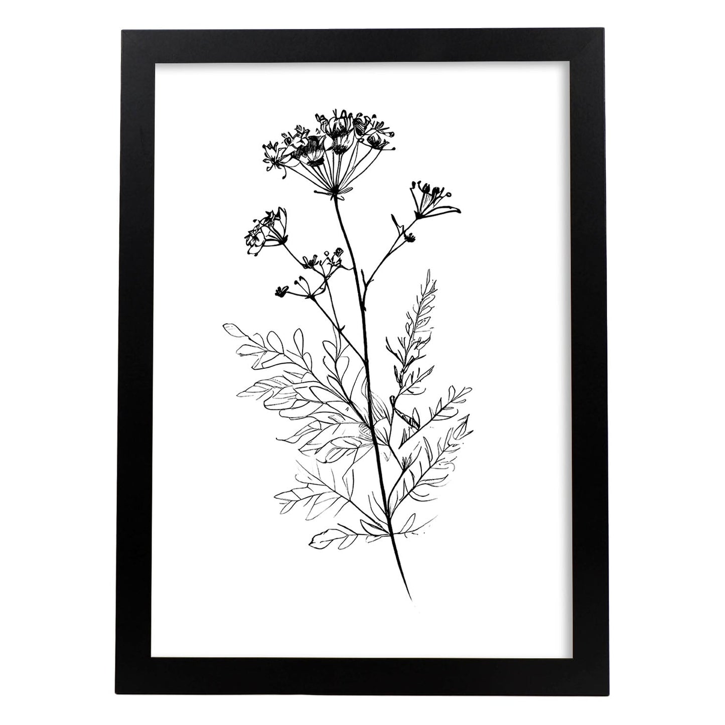 Nacnic Verbena Arte Minimalista Línea_1 Láminas