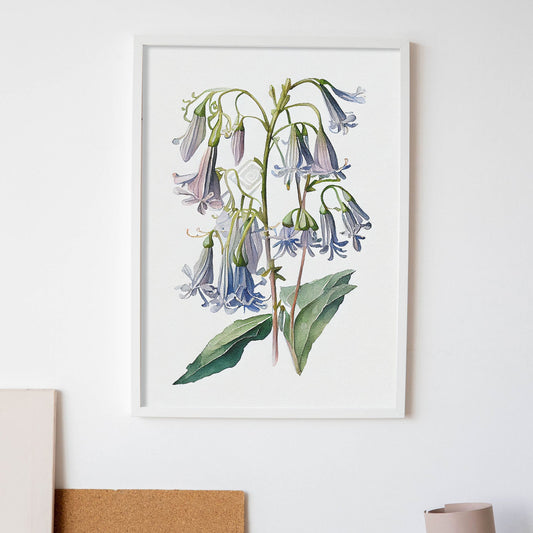 Lámina Nacnic Acuarela Campanilla Azul Minimalista