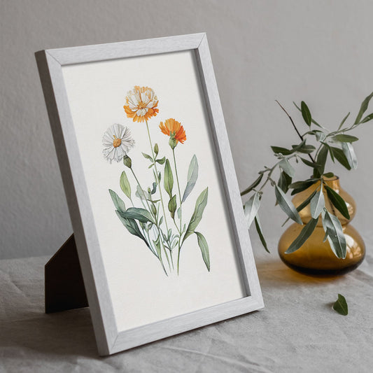 Nacnic Calendula_1 Acuarela Minimalista Lámina