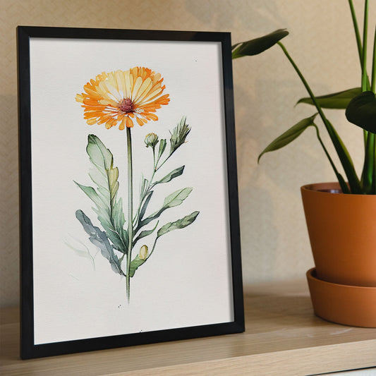 Lámina de Nacnic con Acuarela Minimalista de Calendula_2
