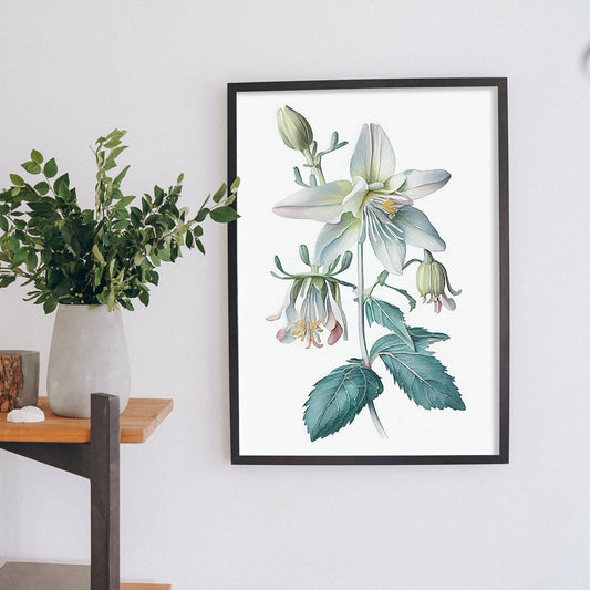 Nacnic watercolor minmal Columbine_1. Aesthetic Wall Art Prints for Bedroom or Living Room Design.-Artwork-Nacnic-A4-Sin Marco-Nacnic Estudio SL