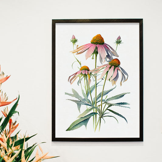 Nacnic watercolor minmal Coneflower_2. Aesthetic Wall Art Prints for Bedroom or Living Room Design.-Artwork-Nacnic-A4-Sin Marco-Nacnic Estudio SL