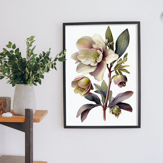 Nacnic watercolor minmal Hellebore_1. Aesthetic Wall Art Prints for Bedroom or Living Room Design.-Artwork-Nacnic-A4-Sin Marco-Nacnic Estudio SL
