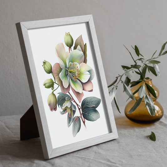 Nacnic watercolor minmal Hellebore_2. Aesthetic Wall Art Prints for Bedroom or Living Room Design.-Artwork-Nacnic-A4-Sin Marco-Nacnic Estudio SL