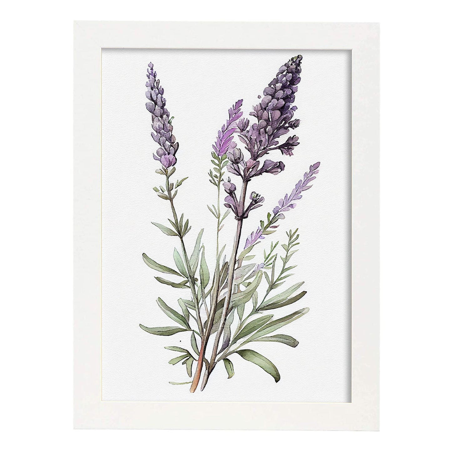 Nacnic watercolor minmal Lavender_4. Aesthetic Wall Art Prints for Bedroom or Living Room Design.-Artwork-Nacnic-A4-Marco Blanco-Nacnic Estudio SL