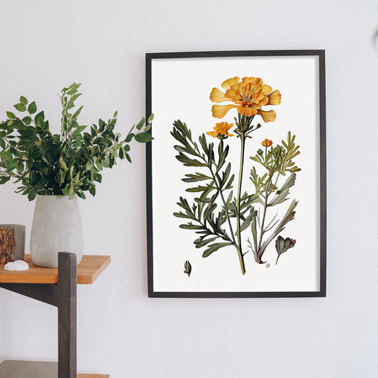Nacnic watercolor minmal Marigold_2. Aesthetic Wall Art Prints for Bedroom or Living Room Design.-Artwork-Nacnic-A4-Sin Marco-Nacnic Estudio SL