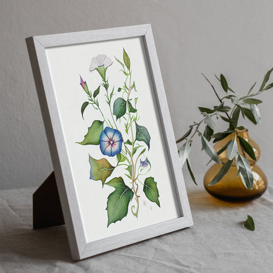 Nacnic watercolor minmal Morning Glory_2. Aesthetic Wall Art Prints for Bedroom or Living Room Design.-Artwork-Nacnic-A4-Sin Marco-Nacnic Estudio SL