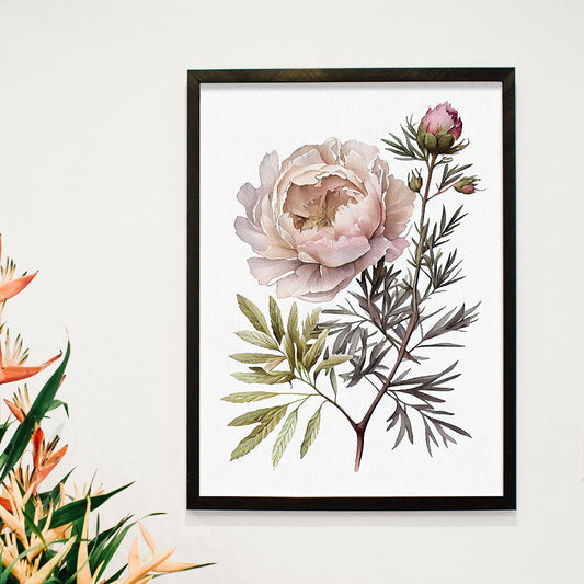 Nacnic watercolor minmal Peony_1. Aesthetic Wall Art Prints for Bedroom or Living Room Design.-Artwork-Nacnic-A4-Sin Marco-Nacnic Estudio SL