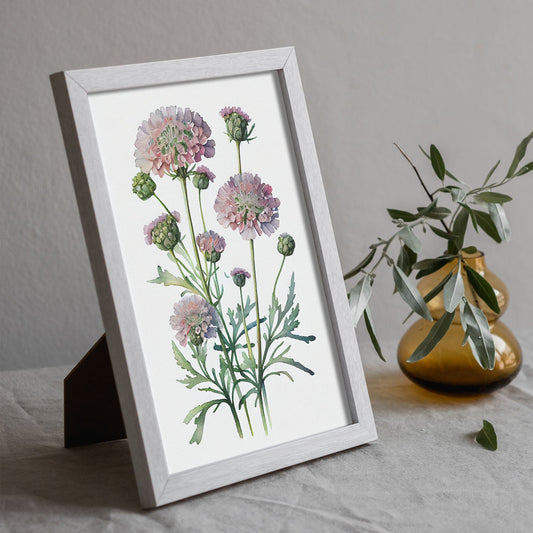 Nacnic watercolor minmal Scabiosa_1. Aesthetic Wall Art Prints for Bedroom or Living Room Design.-Artwork-Nacnic-A4-Sin Marco-Nacnic Estudio SL