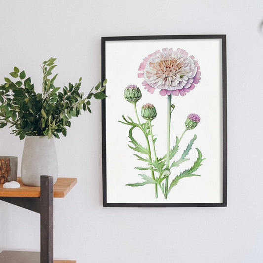 Nacnic watercolor minmal Scabiosa_4. Aesthetic Wall Art Prints for Bedroom or Living Room Design.-Artwork-Nacnic-A4-Sin Marco-Nacnic Estudio SL