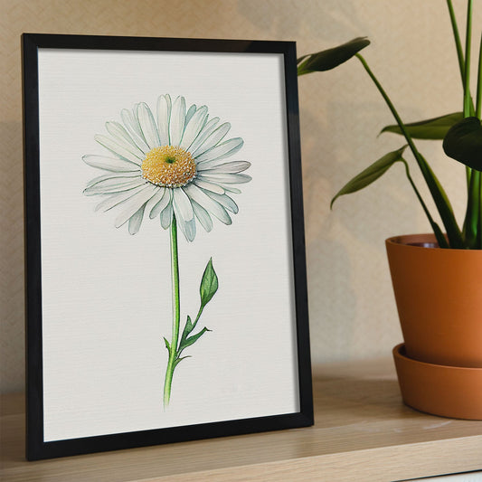 Nacnic watercolor minmal Shasta Daisy_1. Aesthetic Wall Art Prints for Bedroom or Living Room Design.-Artwork-Nacnic-A4-Sin Marco-Nacnic Estudio SL