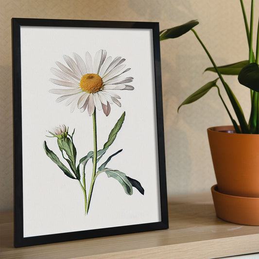 Nacnic watercolor minmal Shasta Daisy_3. Aesthetic Wall Art Prints for Bedroom or Living Room Design.-Artwork-Nacnic-A4-Sin Marco-Nacnic Estudio SL
