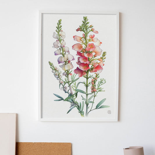 Nacnic watercolor minmal Snapdragon_8. Aesthetic Wall Art Prints for Bedroom or Living Room Design.-Artwork-Nacnic-A4-Sin Marco-Nacnic Estudio SL