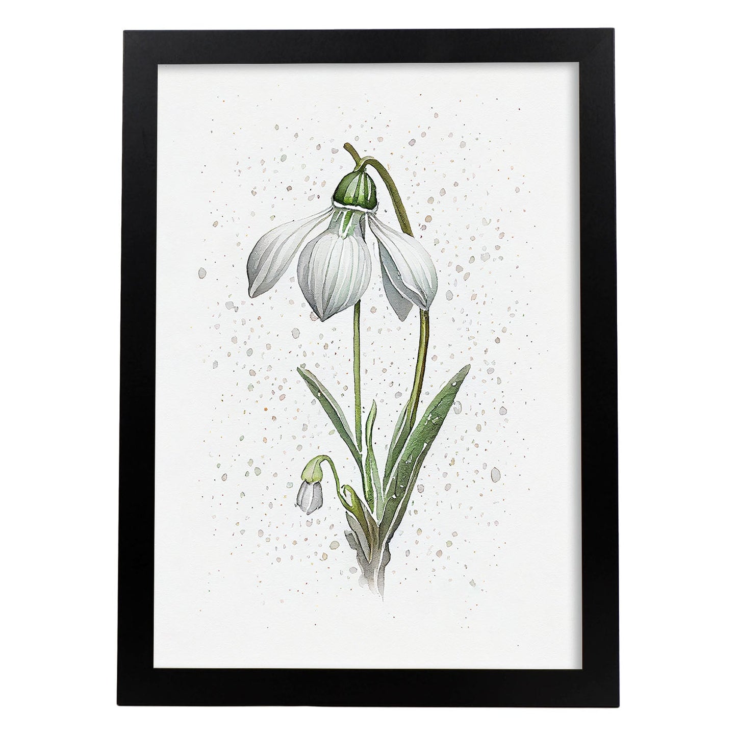 Lámina Nacnic de Acuarela Minimalista de Campanilla de Invierno