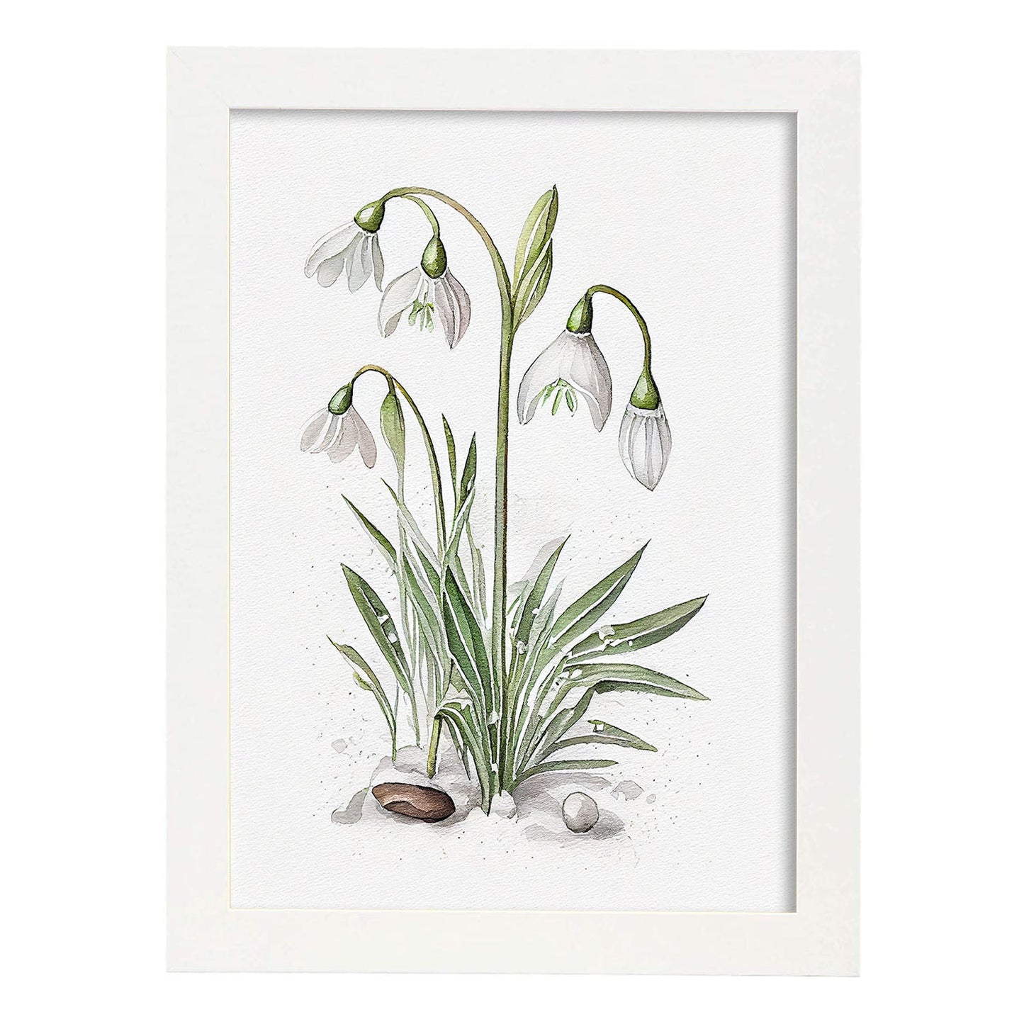 Nacnic watercolor minmal Snowdrop_2. Aesthetic Wall Art Prints for Bedroom or Living Room Design.-Artwork-Nacnic-A4-Marco Blanco-Nacnic Estudio SL